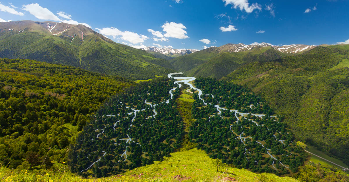 Creating Space: The Need to Take a Breath