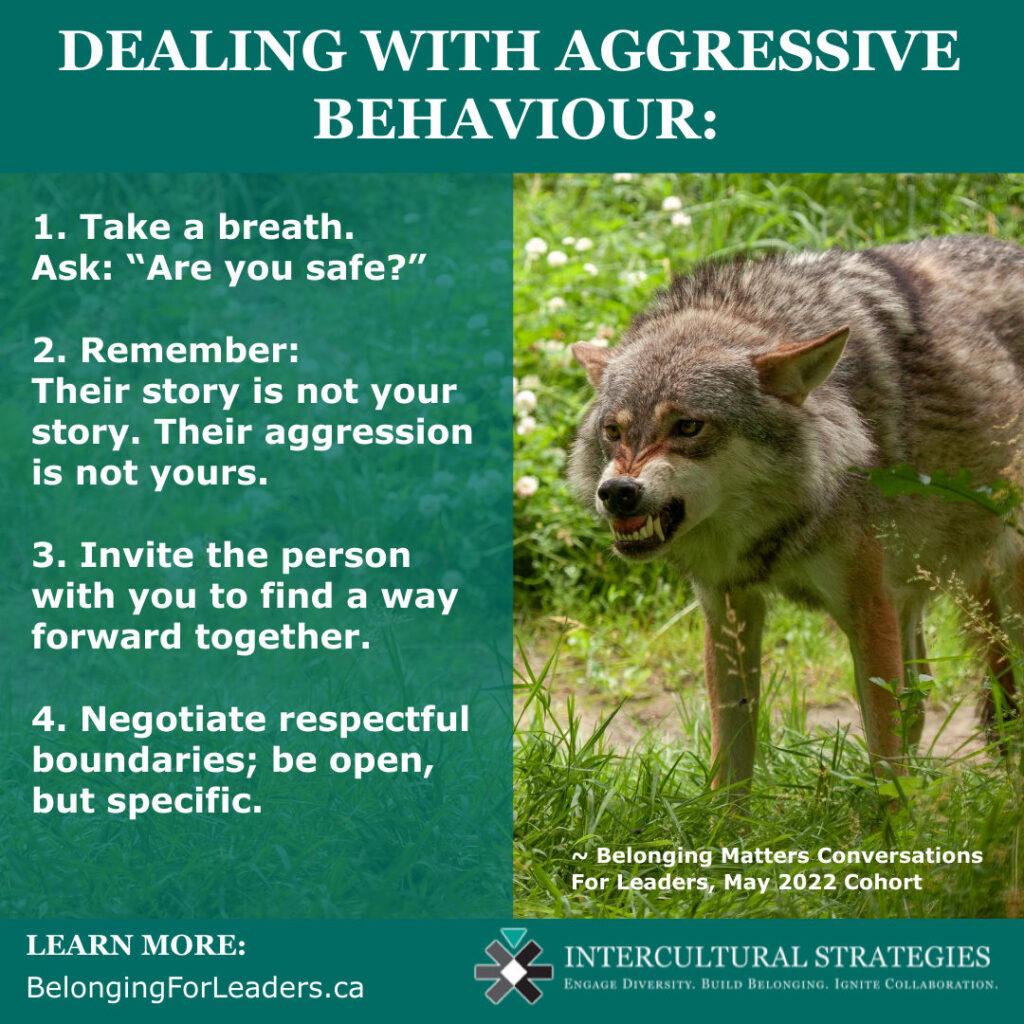 Dealing with Aggressive Behaviour