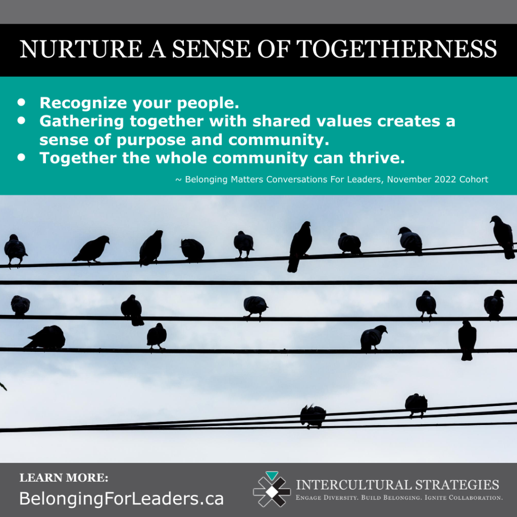 Belonging Matters Conversations For Leaders - Visual Legacies - November 2022 Cohort - Page 11